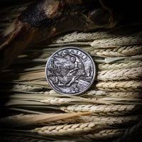 Cain & Abel Coin Challenge Coin Ironsmith®