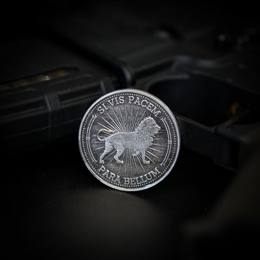 .999 Silver - Baba Yaga Coin Silver Coin Ironsmith® 